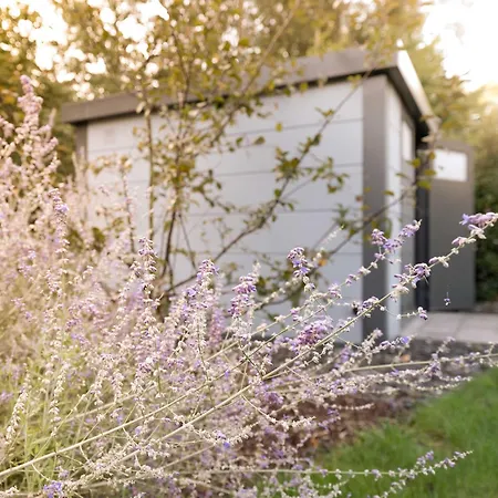 Ferienapartment Am Gaulsbach Apartment